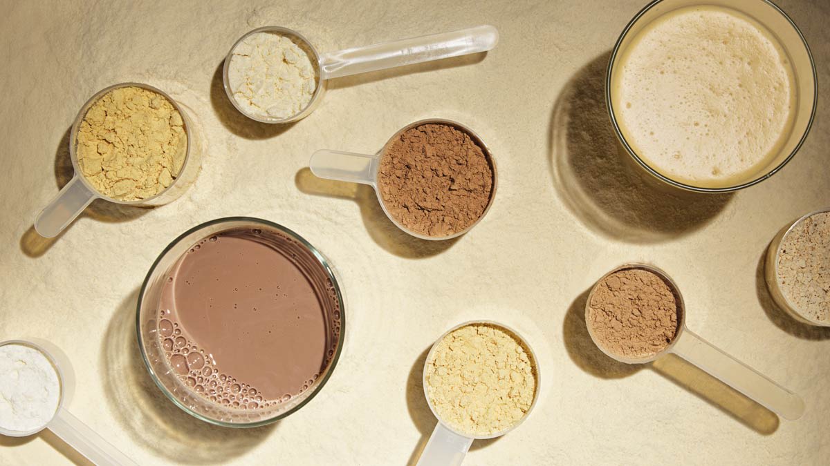 Protine Powders