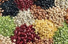 Seeds