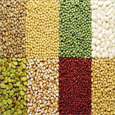 Pulses & Dals