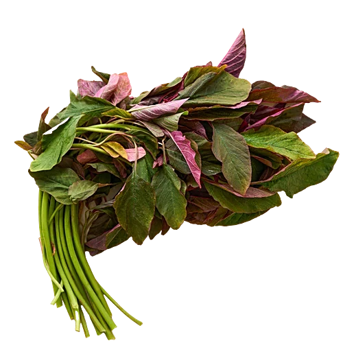 Red Amaranthus/Thotakura 1Bu