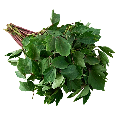 Gongura Leaves 1KG